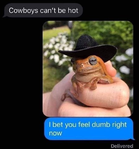 Cowboys can’t be hot Delivered
