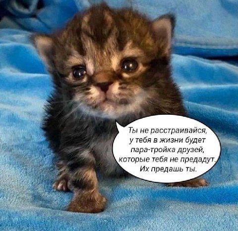 Ты не расстраивайся, у тебя в жизни будет пара-тройка друзей, которые тебя не предадут. предашь ты.