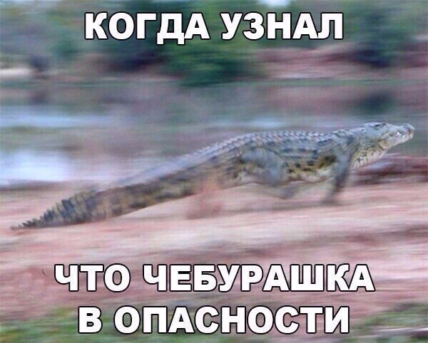 КОГДА УЗНАЛ ЧТО В ОПАСНОСТИ