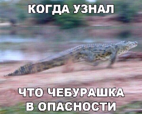 КОГДА УЗНАЛ ЧТО В ОПАСНОСТИ