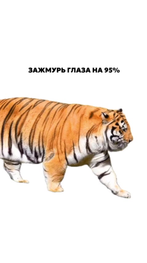 ЗАЖМУРЬ ГЛАЗА НА 95%