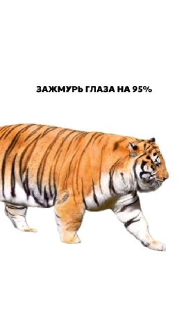 ЗАЖМУРЬ ГЛАЗА НА 95%