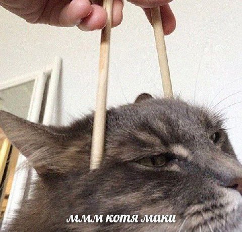 7 к котя маки.