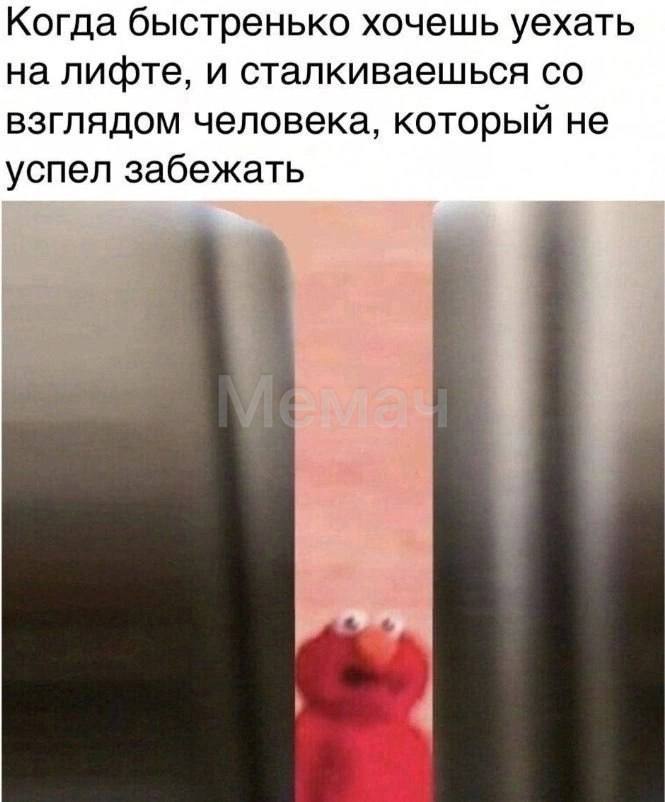 Когда быстренько хочешь уехать на лифте, и сталкиваешься взглядом человека, который не успел забежать