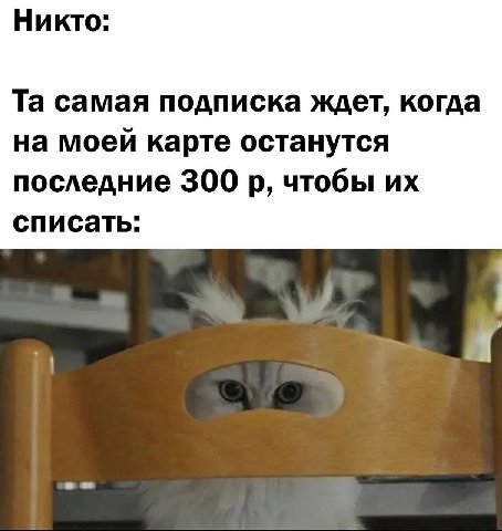 Никто: самая подписка ждет, когда на моей карте останутся последние 300 чтобы списать: 4