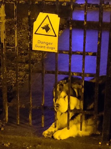 Danger dogs