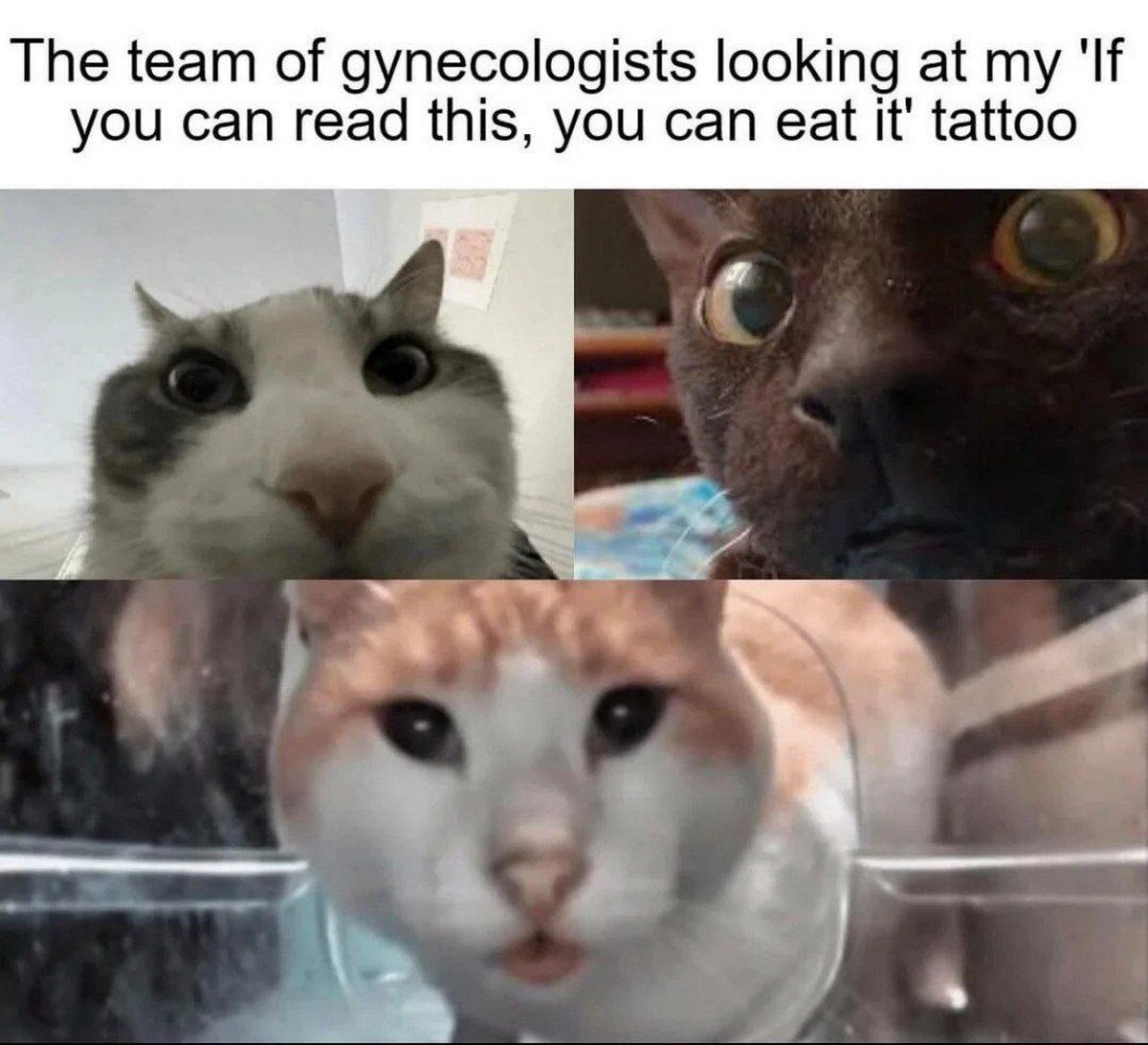 The team of gynecologists looking at my 'If you can read this, you can eat it' tattoo