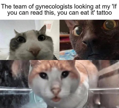The team of gynecologists looking at my 'If you can read this, you can eat it' tattoo