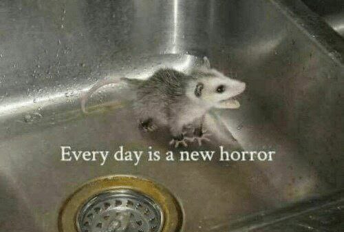 Every day is а new horror