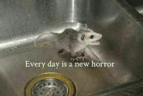 Every day is а new horror