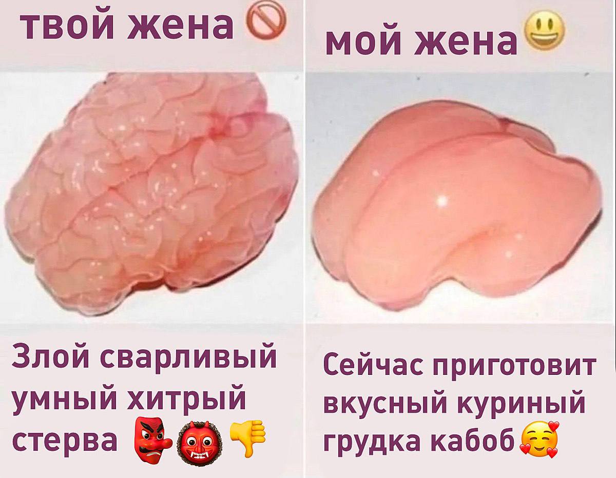 твой жена мой 7 2 Злой сварливый Сейчас приготовит умный хитрый вкусный куриный стерва грудка кабоб &5