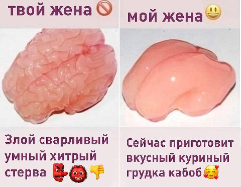 твой жена мой 7 2 Злой сварливый Сейчас приготовит умный хитрый вкусный куриный стерва грудка кабоб &5