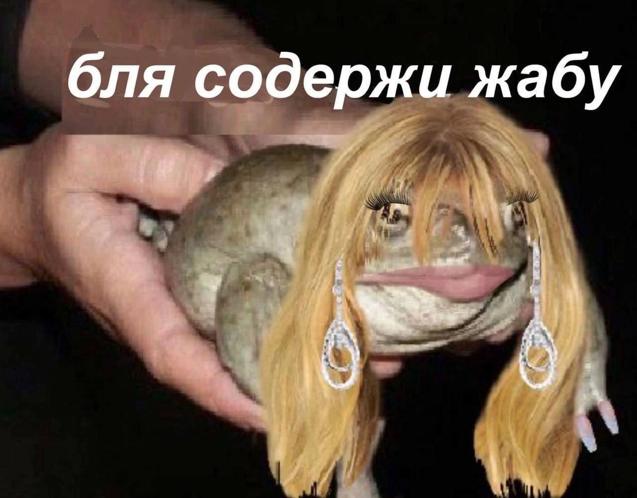 бля содержи жабу