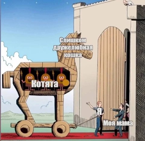 И ‘Котята ium