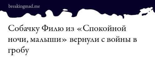 Собачку Филю из «Спокойной ночи, малыши» вернули с ВОЙНЫ В гробу