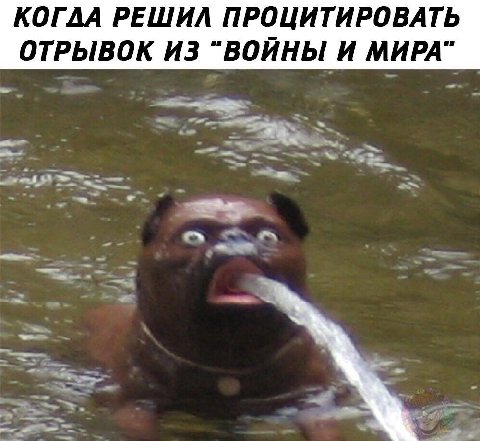 КОГДА РЕШИЛ ПРОЦИТИРОВАТЬ ОТРЫВОК ИЗ “ВОЙНЫ И МИРА”