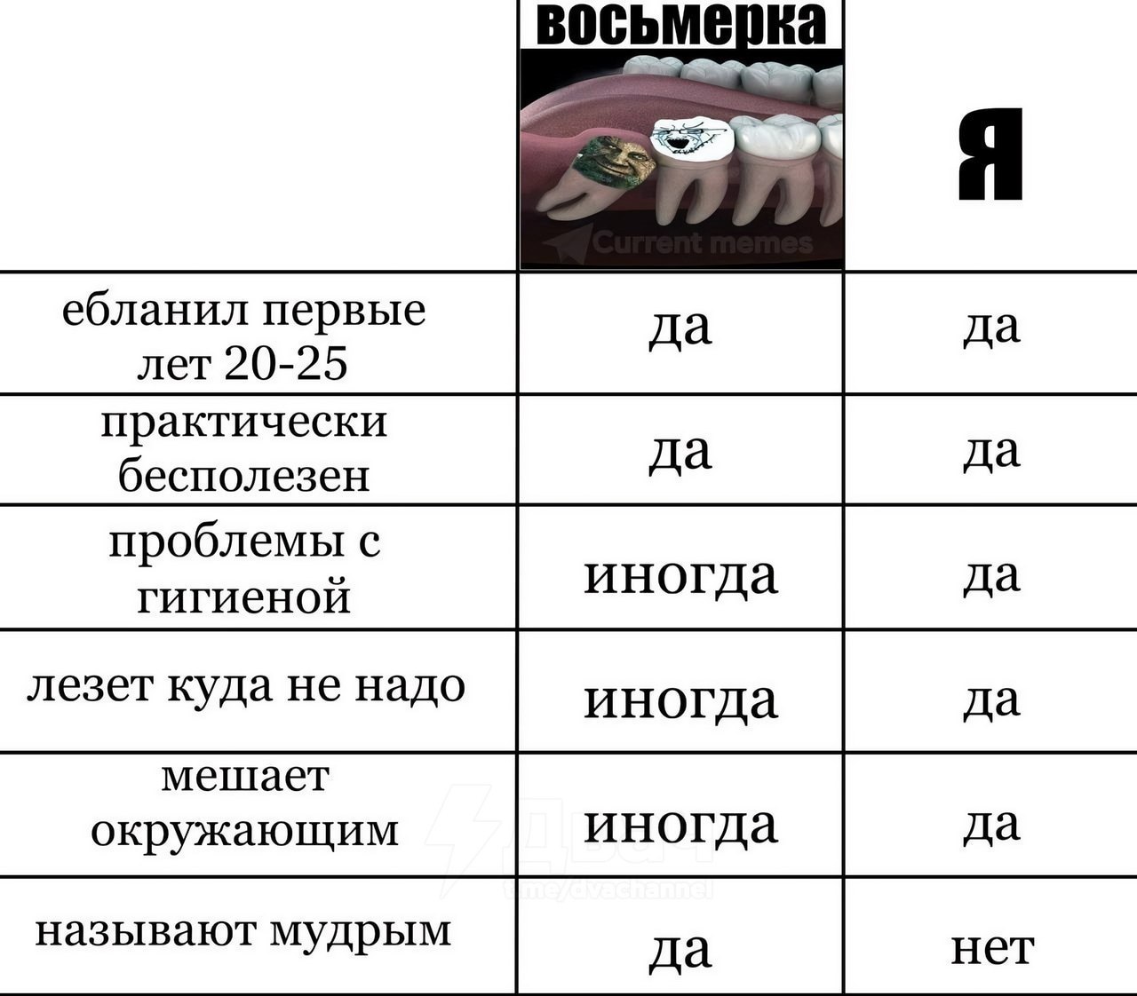 ебланил первые да лет 20-25 практически да бесполезен проблемы с гигиеной да лезет куда не надо да мешает да окружающим называют мудрым нет