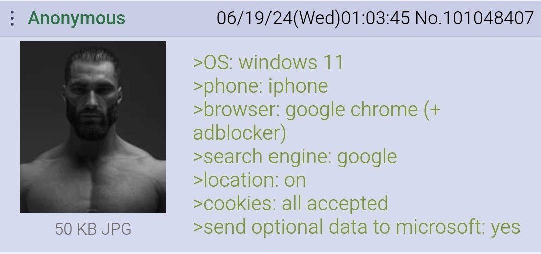 Anonymous 06/19/24(Wed)01:03:45 No.101048407 windows 11 >phone: iphone >browser: google chrome adblocker) >search engine: google >location: on >cookies: all accepted 90 JPG >send optional data to micr