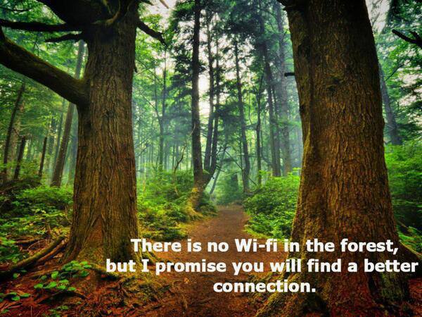 4 There is no Wi-fi in the forest, but I promise you will find a better connection.