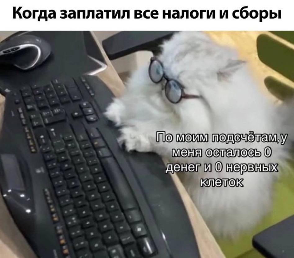 Когда заплатил все налоги и сборы 3.2 По моим none ётам, у меня осталось О денеги 0 нервных клеток