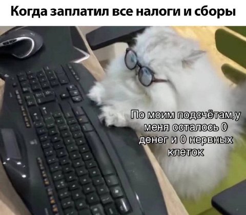 Когда заплатил все налоги и сборы 3.2 По моим none ётам, у меня осталось О денеги 0 нервных клеток