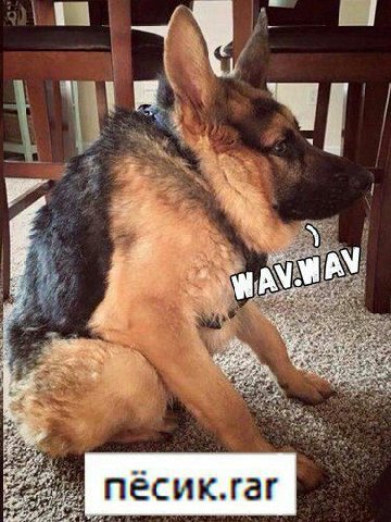 4 Я 4 war $7 песик.гаг