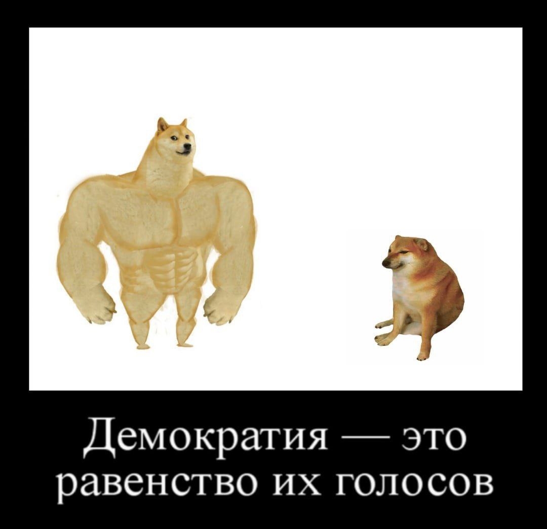 Демократия это равенство голосов