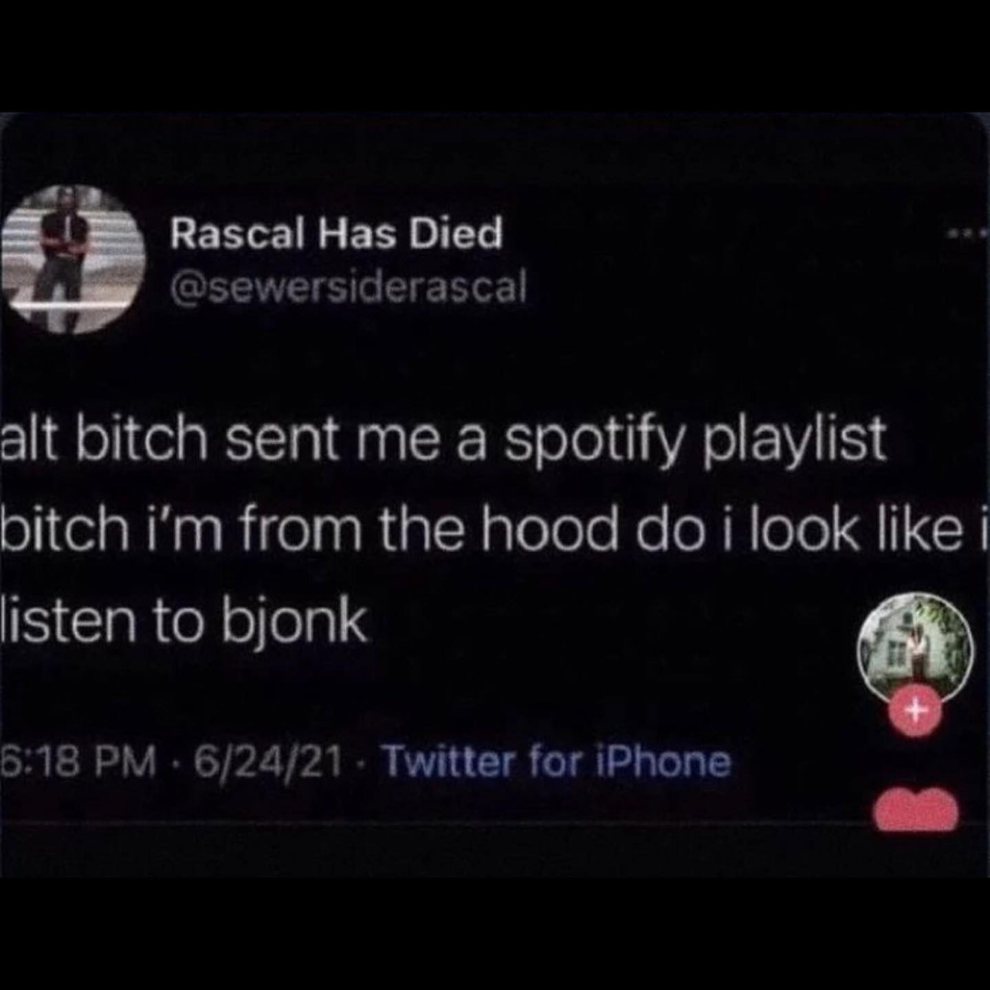 Rascal Has Died @sewersiderascal alt bitch sent me a spotify playlist bitch from the hood i look like i listen to bjonk 5:18 6/24/21 Twitter for iPhone