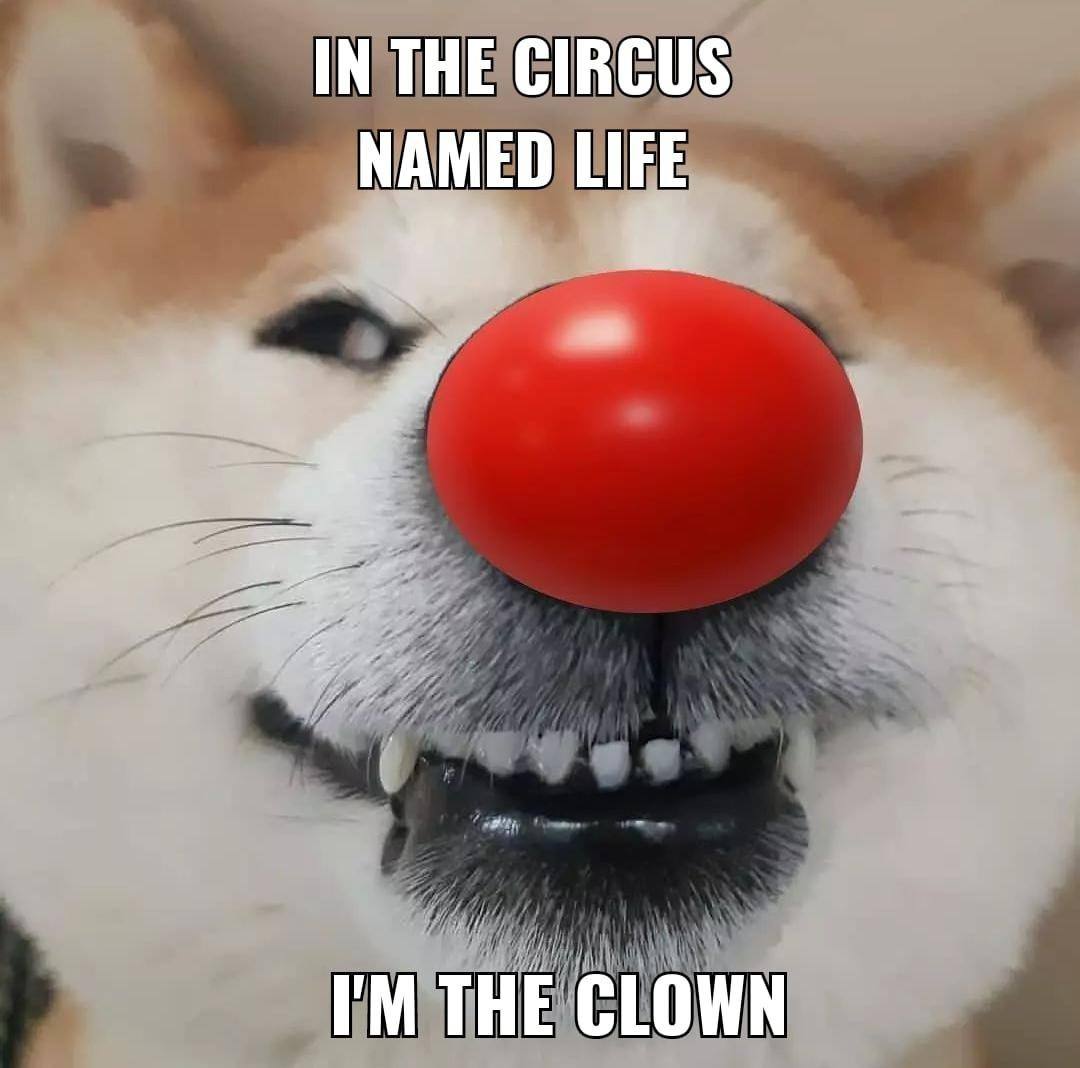 IN THE CIRCUS NAMED LIFE THE CLOWN