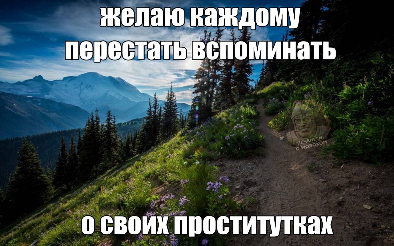 желаю каждому о своих проститутках