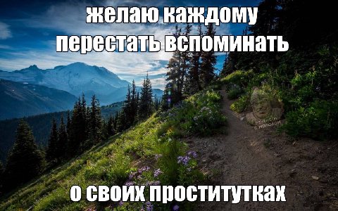 желаю каждому о своих проститутках
