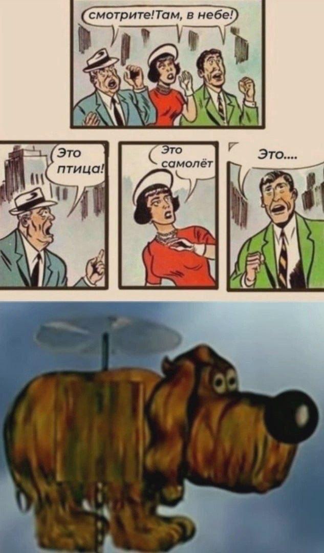 #предложка