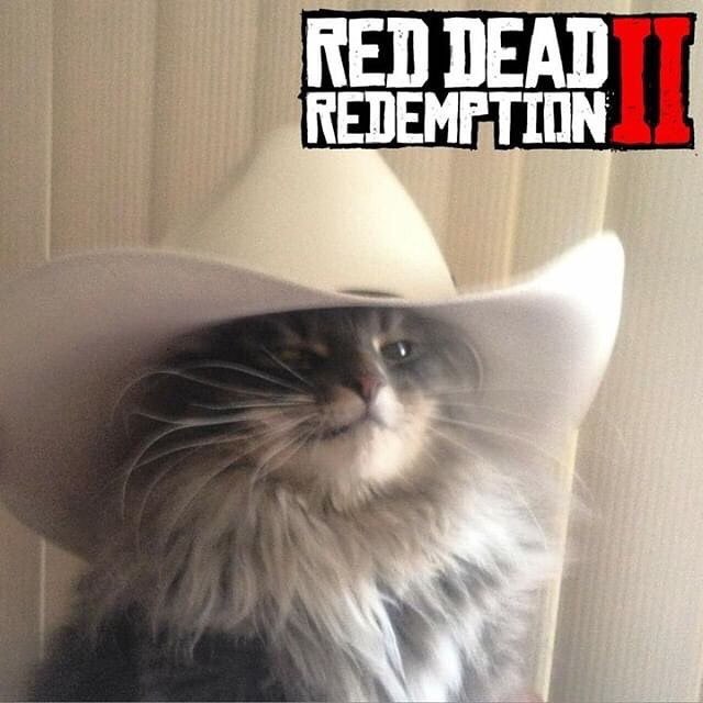 RED DEAD REDEMPTION