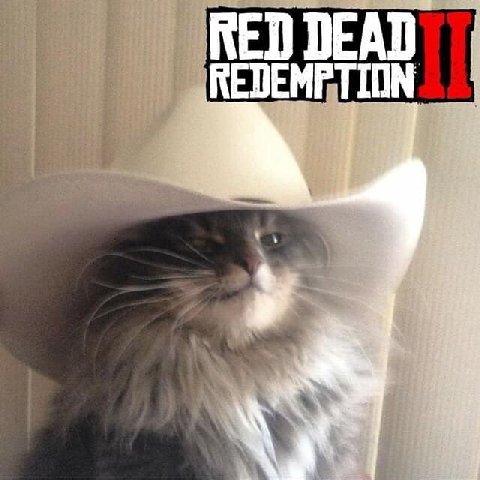 RED DEAD REDEMPTION