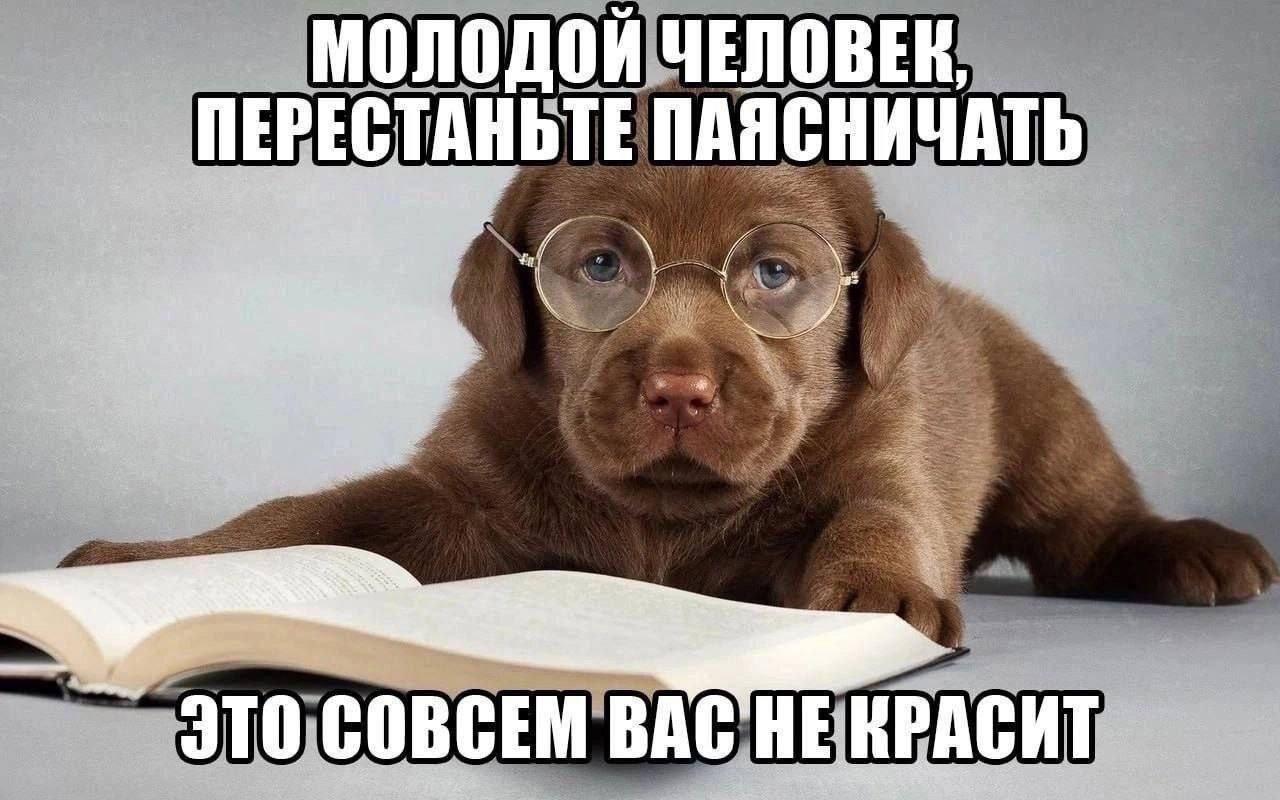 МОЛОДОЙ ЧЕЛОВЕК, ПЕРЕСТАНЬТЕ ПАЯСНИЧАТЬ и КРАСИТ ЭТО СОВСЕМ BAC HE