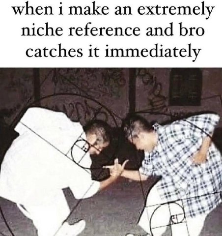 when i make extremely niche reference and bro catches it immediately