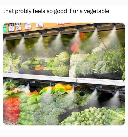 that probly feels so good if a vegetable 4 hin OF 4 4
