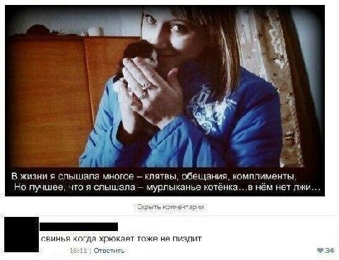 omy 4 if 3 у 4 В жизни я слышала многое клятвы, обещания, комплименты, Но лучшее, что я слышала мурлыканье котёнка...в нём нет лжи... Скрыть свинья когда хрюкает тоже не пиздит 16:11 Ответить 34