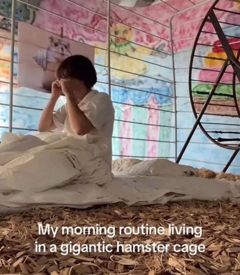My morning routine living in a gigantic hamster cage