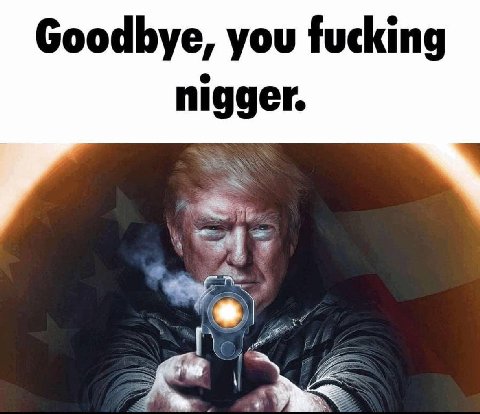Goodbye, you fucking nigger.