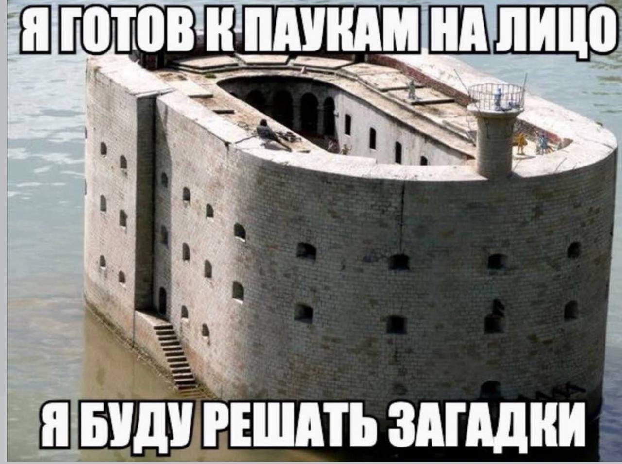 К ПАУКАМ НАЛИЦО Я БУДУ РЕШАТЬ ЗАГАДКИ