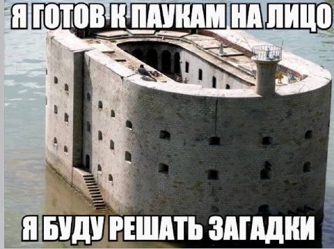 К ПАУКАМ НАЛИЦО Я БУДУ РЕШАТЬ ЗАГАДКИ