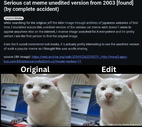 Serious cat meme unedited version from 2003 [found] complete accident) Internet Media while searching for the original jeff the killer image through archives of japanese websites of that time, stumble