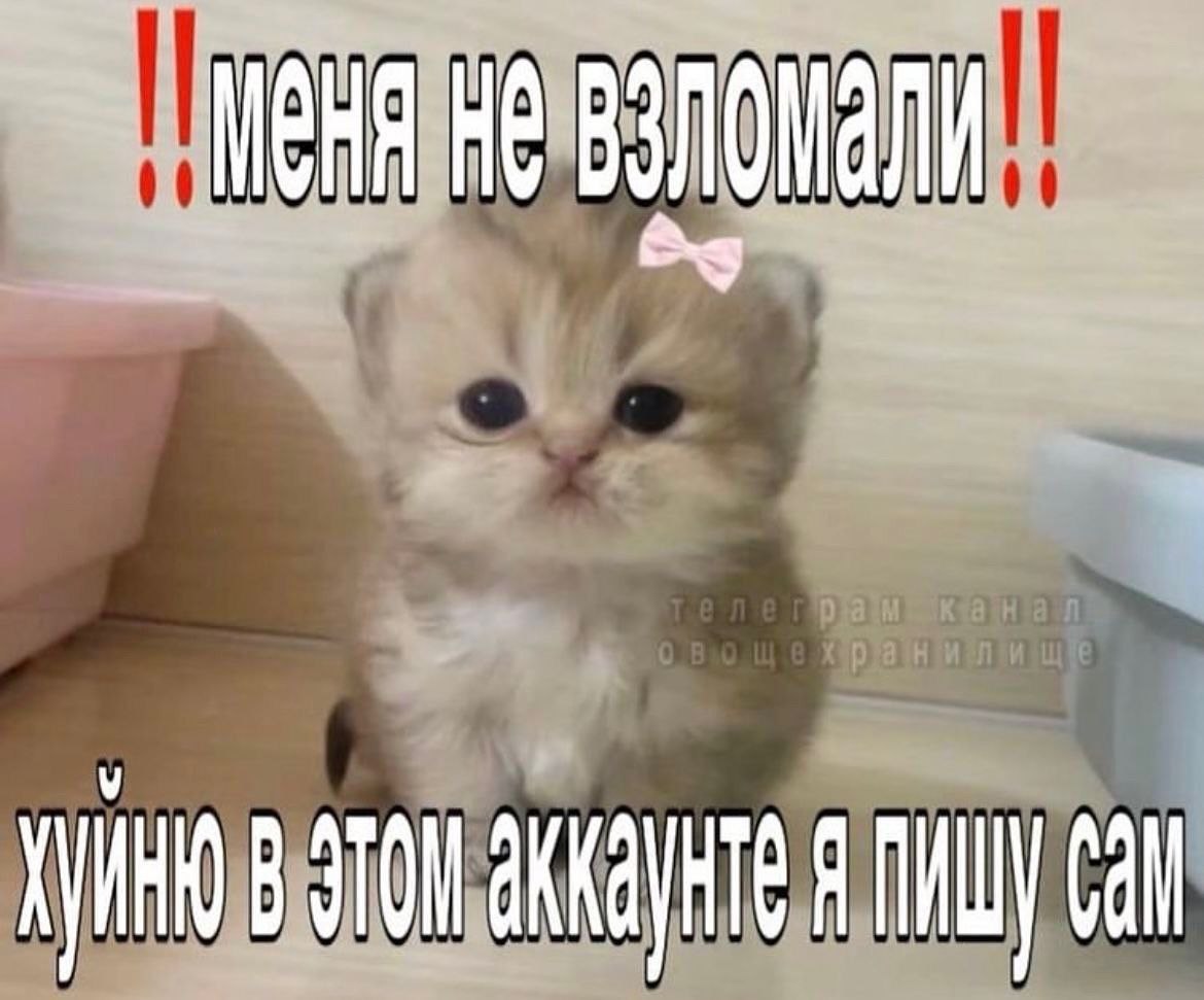 👤 Пельмешек