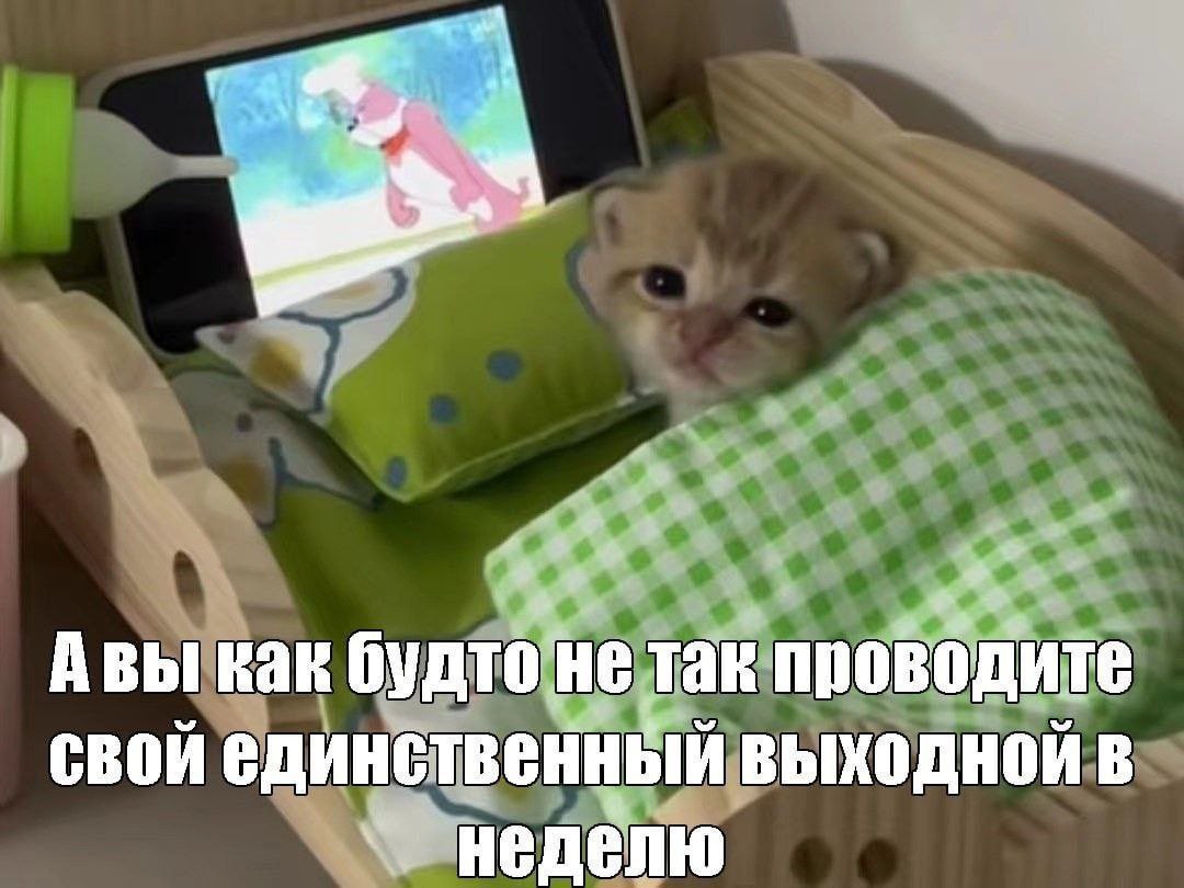 я Авы как будто не так проводите свой единственный выходной в неделю
