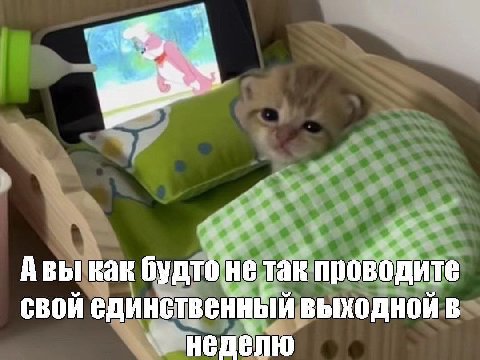 я Авы как будто не так проводите свой единственный выходной в неделю