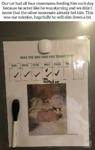 Our cat had all four roommates feeding him each day because he acted like he was starving and we didn't know that the other roommate already fed him. This was our solution, hopefully he will slim down