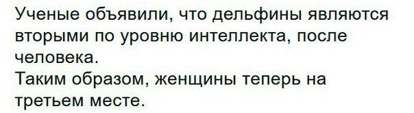 Ученые объявили, что дельфины являются вторыми по уровню интеллекта, после человека. Таким образом, женщины теперь на третьем месте.