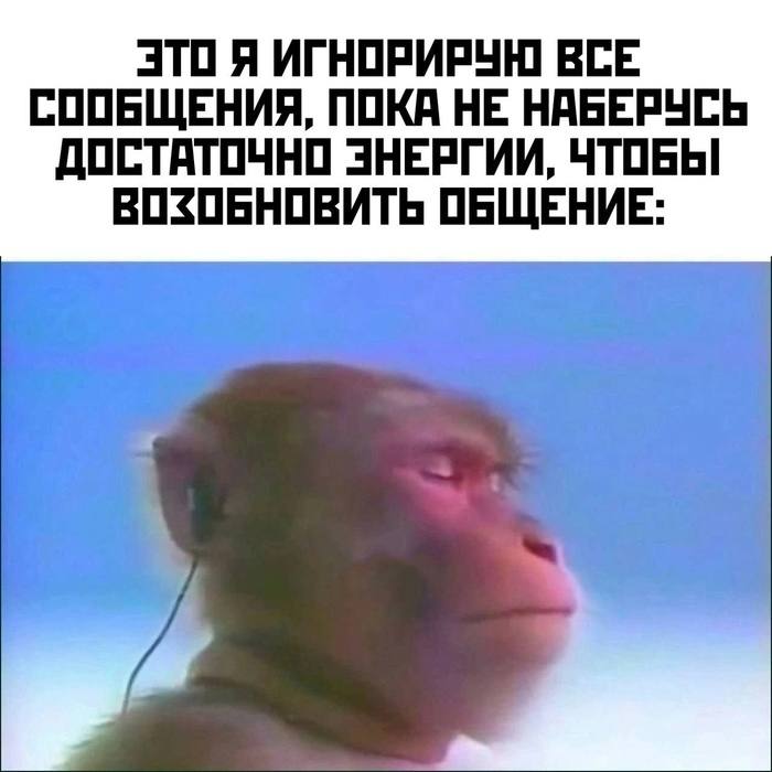 ИГНОРИРУЮ ВСЕ СООБЩЕНИЯ, ПОКА НЕ НАБЕРУСЬ ДОСТАТОЧНО ЭНЕРГИИ, ЧТОБЫ ВОЗОБНОВИТЬ ОБЩЕНИЕ: