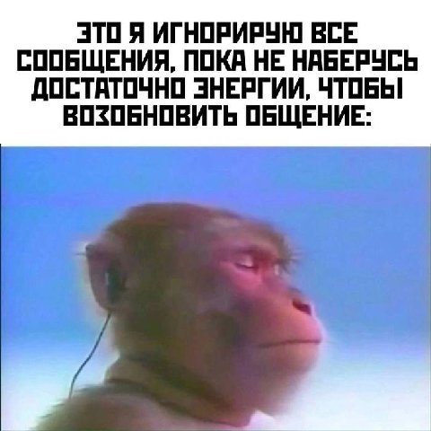 ИГНОРИРУЮ ВСЕ СООБЩЕНИЯ, ПОКА НЕ НАБЕРУСЬ ДОСТАТОЧНО ЭНЕРГИИ, ЧТОБЫ ВОЗОБНОВИТЬ ОБЩЕНИЕ: